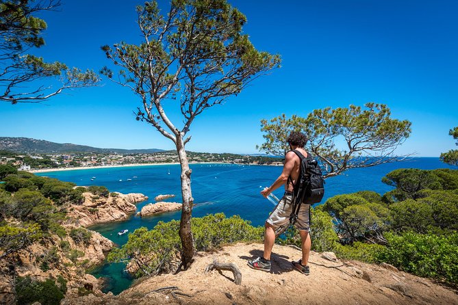 Costa Brava Day Adventure: Hike, Snorkel, Cliff Jump & Meal - Key Points