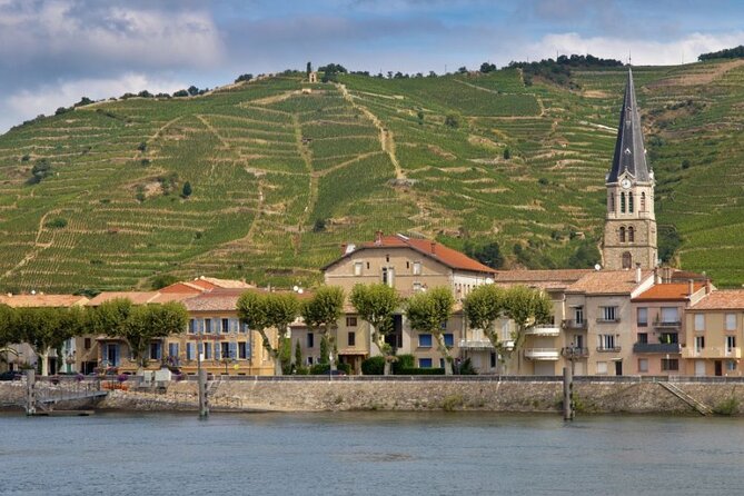 Cote Rotie Wine Half-Day Tour With Tasting From Lyon - Key Points