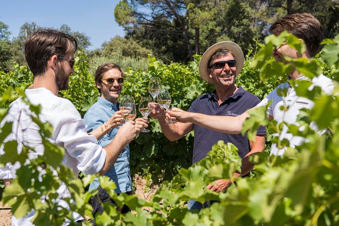 Cotes De Provence Wine Tour From Aix-En-Provence - Key Points