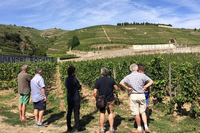 Cotes Du Rhone Wine Tour - Private Tour - Full Day From Lyon - Key Points