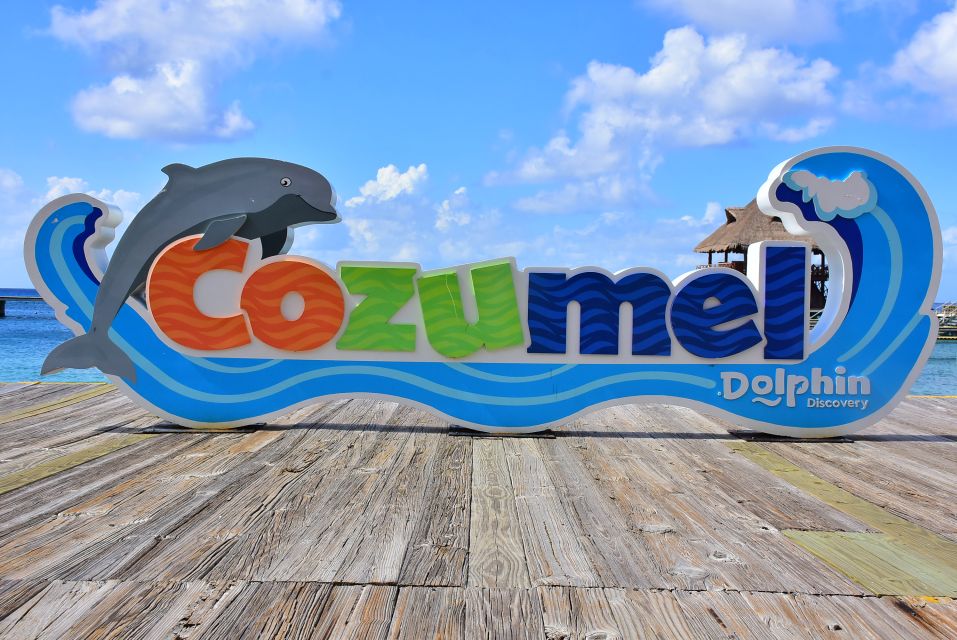 Cozumel: Dolphin Royal Swim - Key Points