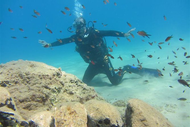 Crete Introductory Scuba Diving Experience - Just The Basics