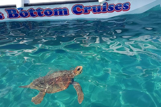 Cruise to Turtles Island and Caves With a Glass Bottom Boat - Key Takeaways