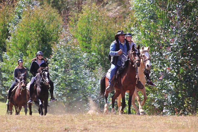 Cusco Small-Group Horseback Ride - Key Points