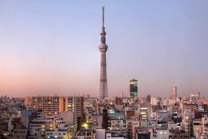 Customizable Private Full-Day Shore Excursion: Yokohama–Tokyo - Key Points