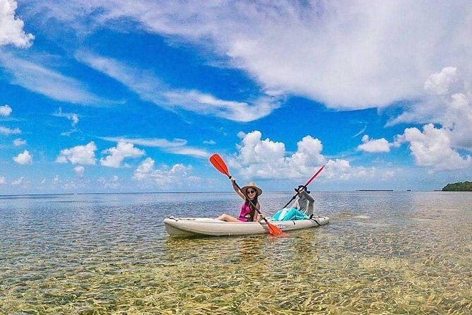 Key West Full-Day Ocean Adventure: Kayak, Snorkel, Sail - Customer Reviews and Feedback