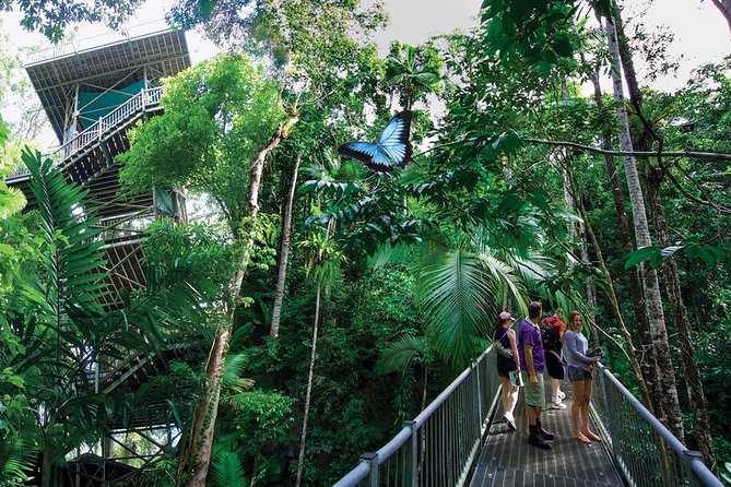 Daintree Discovery Centre Single Pass - Key Points