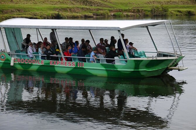 Daintree River Cruise - Just The Basics