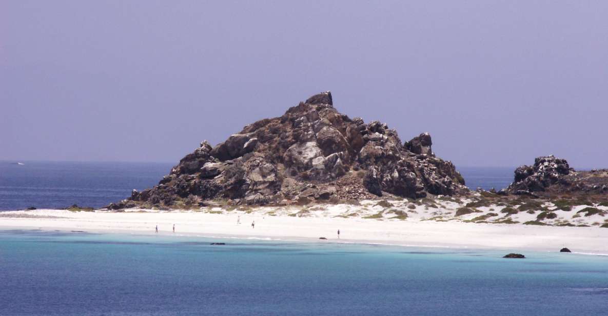 Damas or Chañaral Island: Whales & Humboldt Penguin Reserve - Key Points
