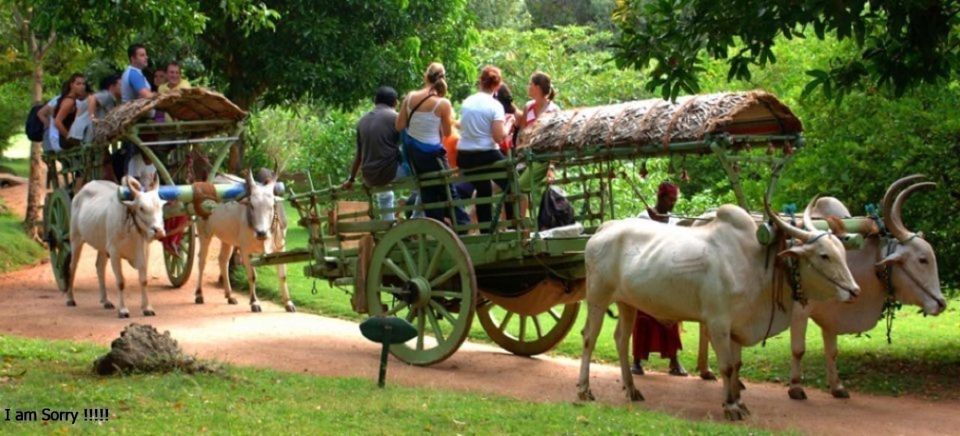 dambulla caves temple traditional village tour with lunch Dambulla: Caves Temple & Traditional Village Tour With Lunch