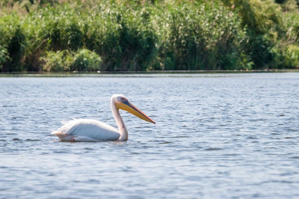 Danube Delta - 2-Day Tour From Bucharest - Key Points