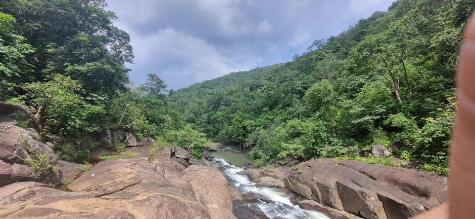 Daringbadi Delight: Immerse in Authentic Rural Odisha Exper - Key Points