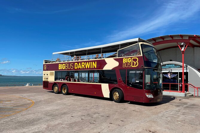 Darwin Shore Excursion: Hop-on Hop-off Bus Tour - Key Points