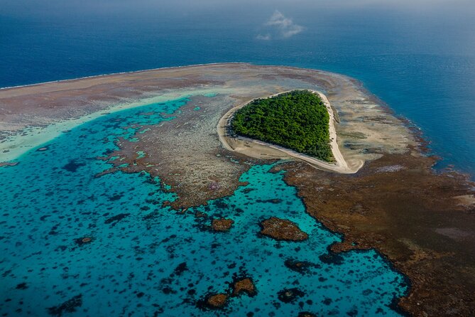 Day Tour to Lady Musgrave Island - Key Points
