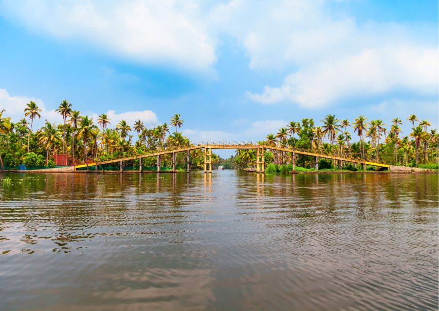 Day Trip to Alleppey With Backwater Experiences - Key Points