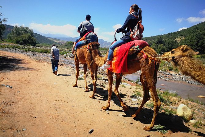 Day Trip to Atlas Mountains Waterfall & Agafay Camel Ride Experience - Key Points