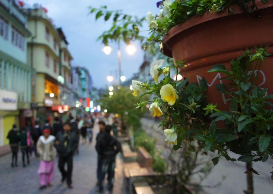 Day Trip to Gangtok (Guided Private Tour From Darjeeling) - Key Points