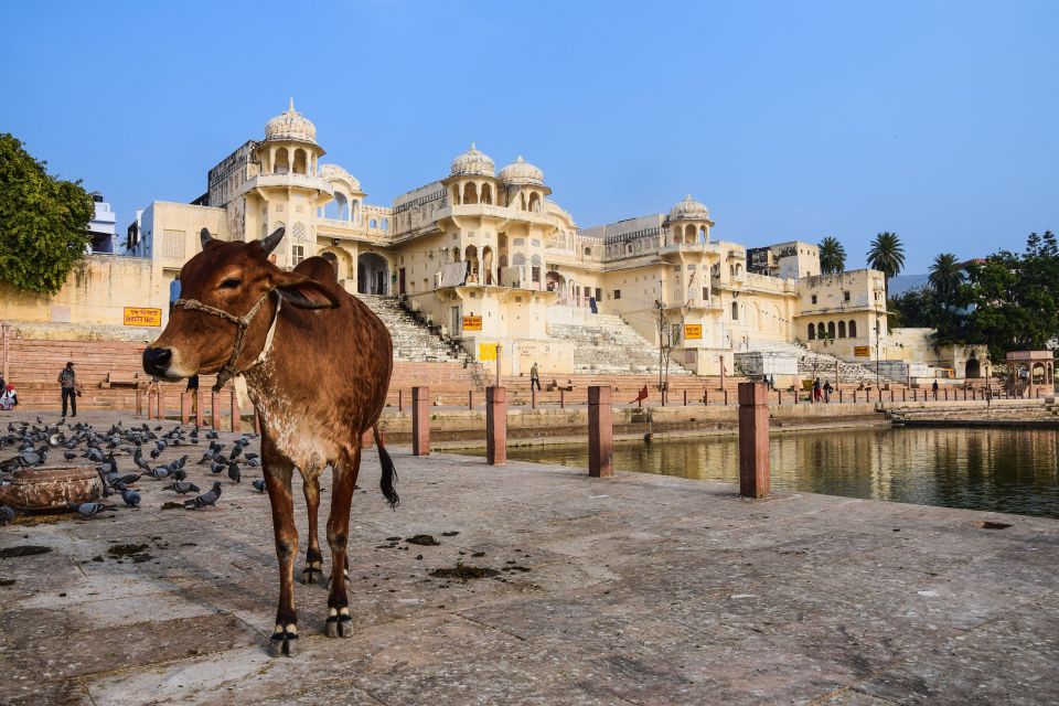 Day Trip to Jaipur From Delhi by Expressway - Key Points
