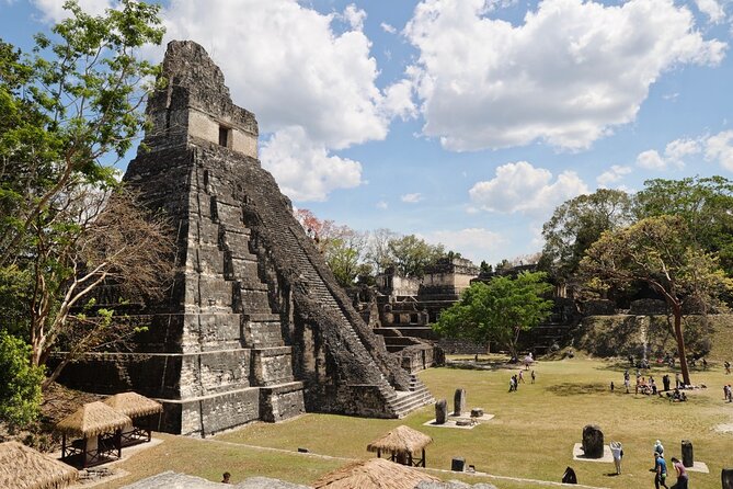 Day Trip to Tikal Maya Ruins Including Lunch - Reviews Breakdown