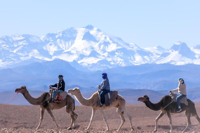 Day Trip:Berber Villages and 4 Valleys Atlas Mountains &Waterfu L& Camel Ride - Key Points