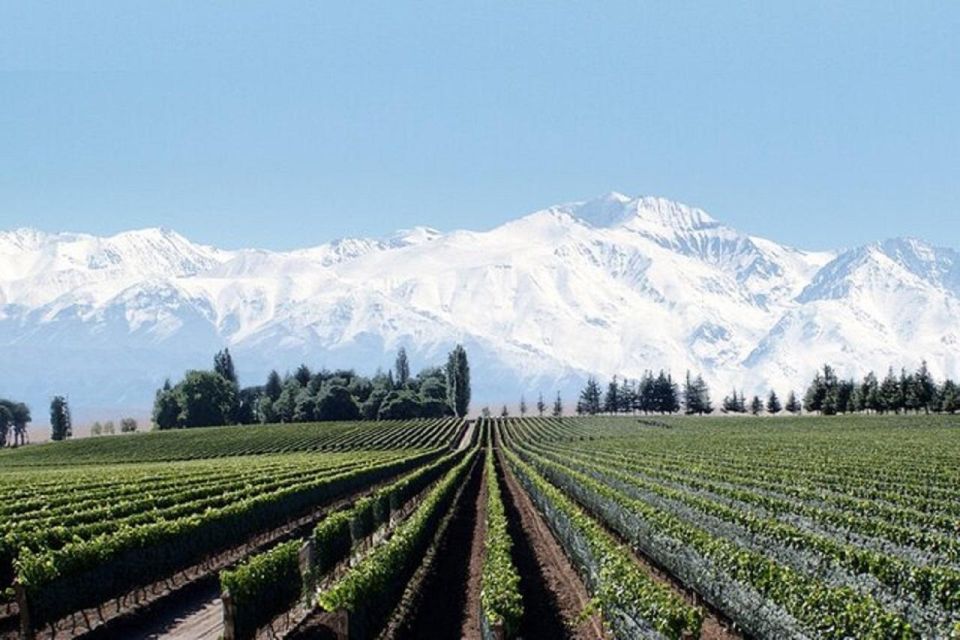 Daytour to Mendoza Wineries - Key Points