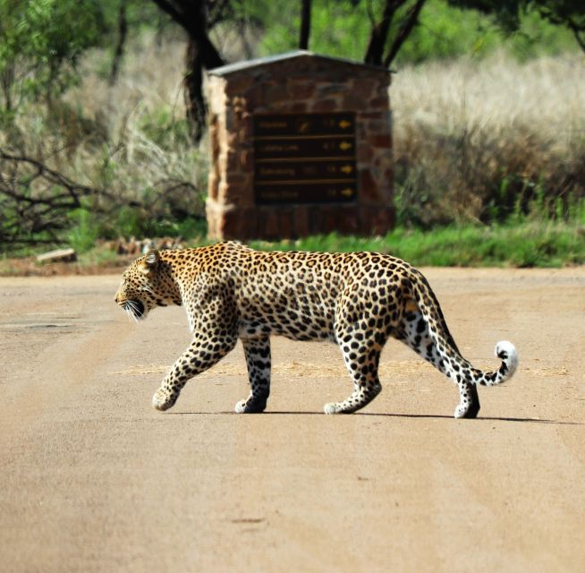 Deluxe Safari of Pilanesberg Nature Reserve - Booking Details