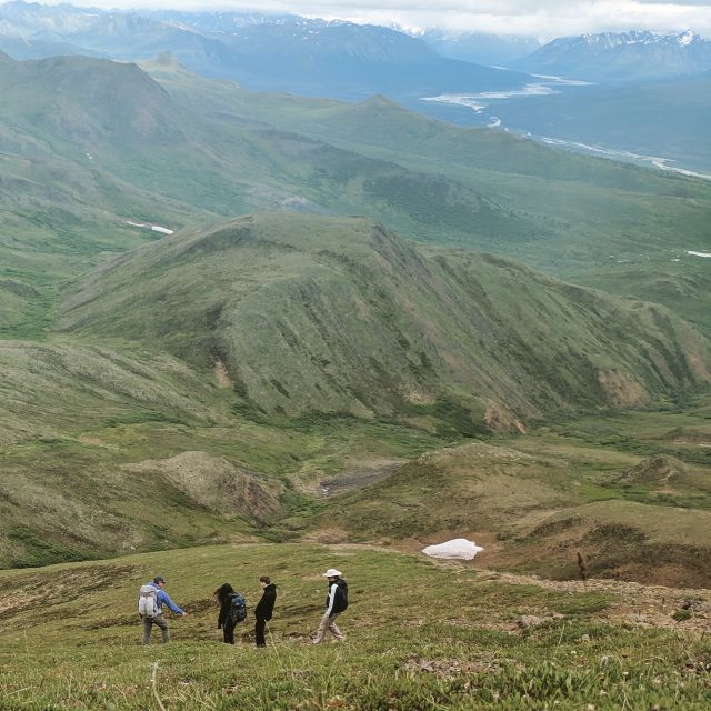 Denali: 5-Hour Guided Wilderness Hiking Tour - Key Points