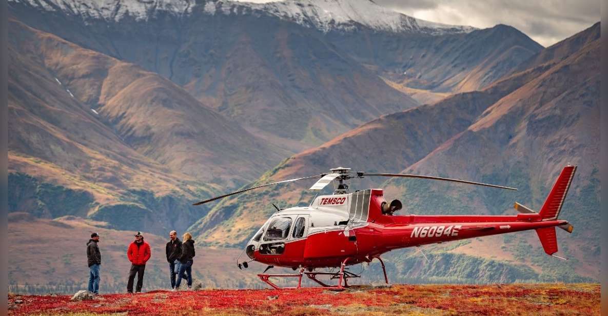 Denali National Park: Helicopter and Hike Adventure - Key Points