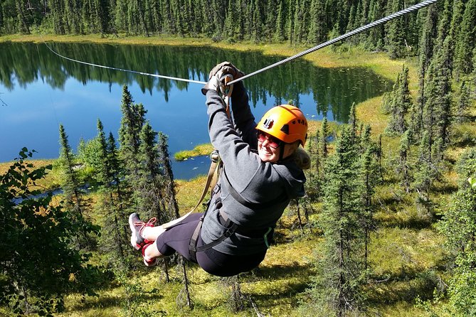 Denali Zipline Tour in Talkeetna, AK - Just The Basics