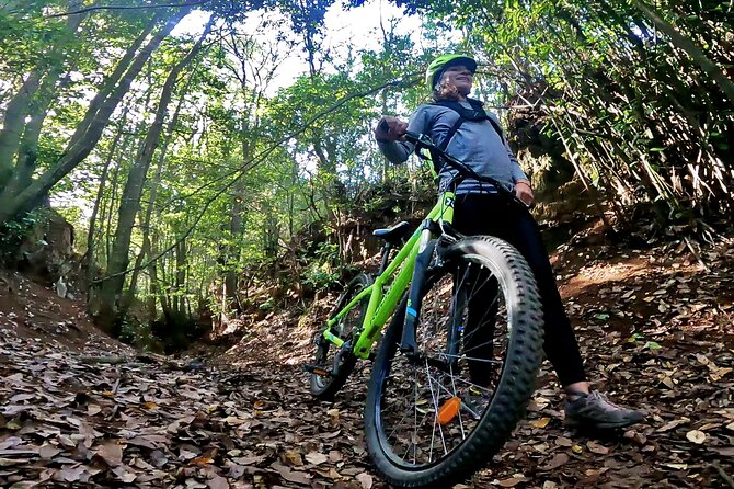 Descend in Mountain Bike in Northern Forests of Gran Canaria - Overview