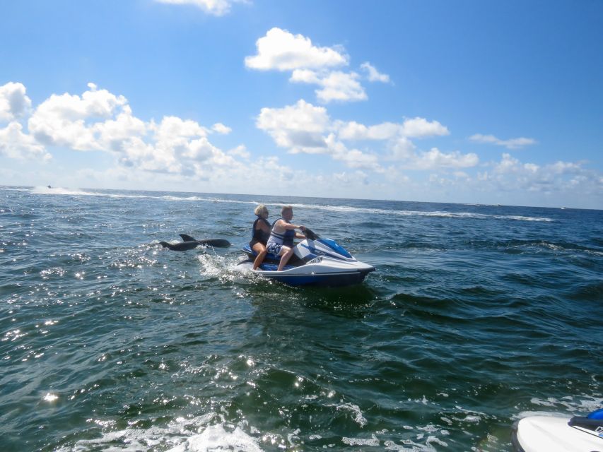 Destin: Crab Island Dolphin Watching Jet Ski Tour - Key Points
