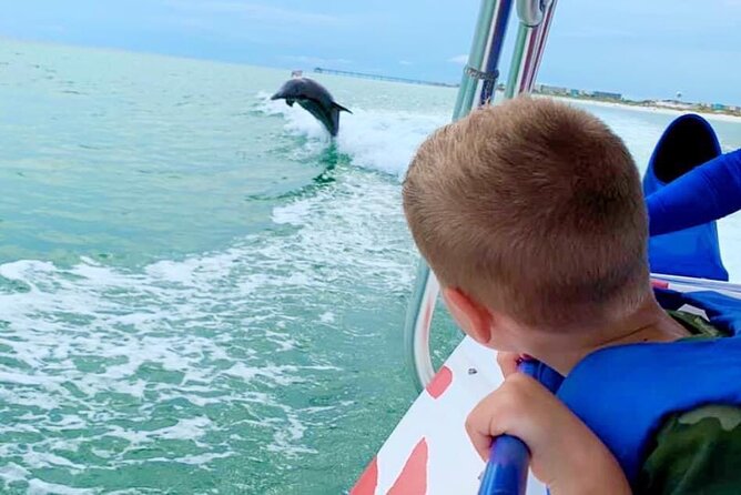 Destin Dolphin Watching Cruise in the Gulf of Mexico - Just The Basics