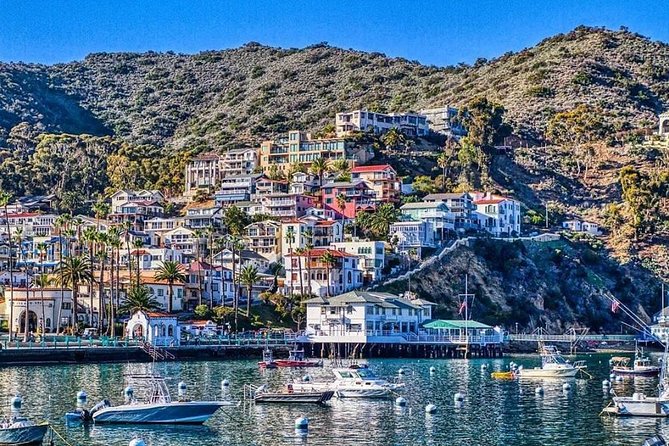 Discover Avalon: Catalina Scenic Tour - Just The Basics