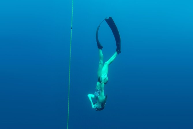 Discover Freediving Course - Key Points