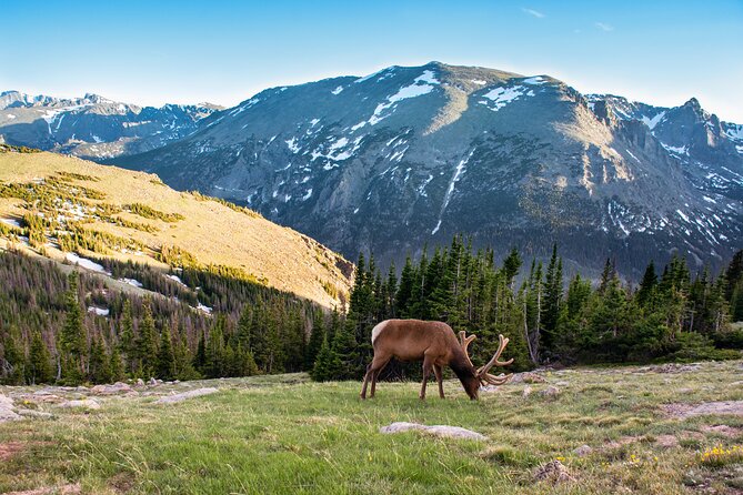 Discover Rocky Mountain National Park From Denver or Boulder