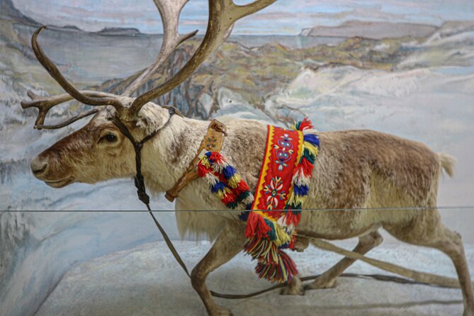 Discover Sami Culture for Tromso Museum Expedition - Overview of Sami Culture