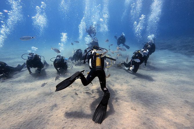 Discover Scuba Diving - Just The Basics