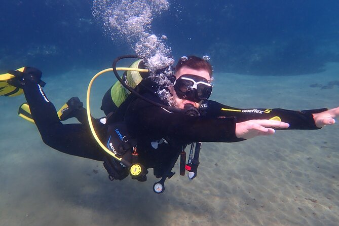 Discover Scuba Diving in Lanzarote (Costa Teguise) - Just The Basics