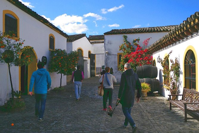 Discover Sherry in Jerez
