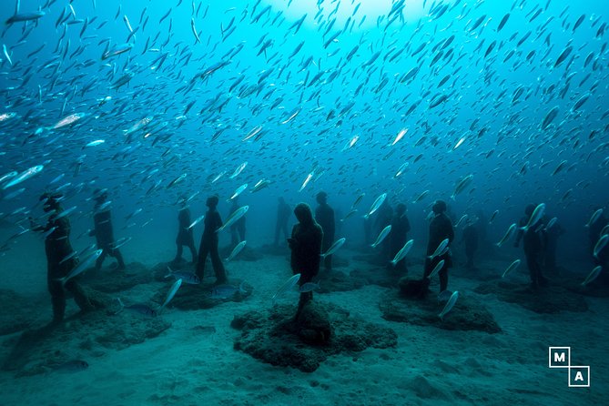 Discover the Underwater World of Lanzarote