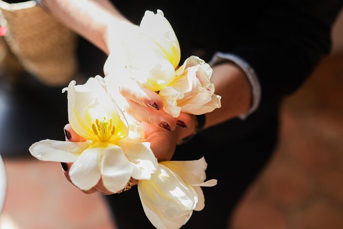 Discovery Day of Scents to Grasse Saint-Paul-De-Vence From Nice - Key Points