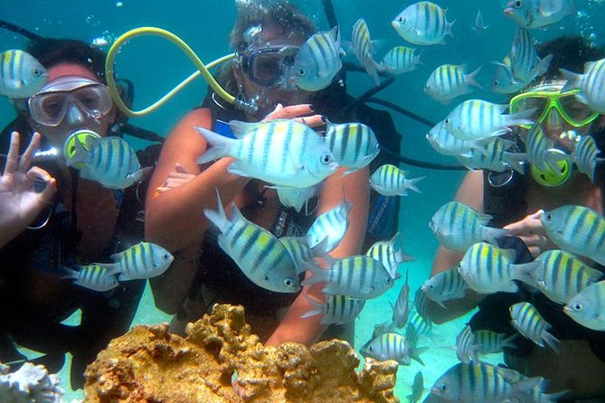 DIVING in PORTO De GALINHAS (With Cylinder) - Key Points