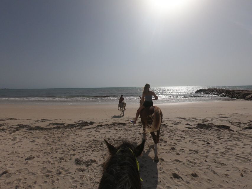 Djerba: 2-Hour Lagoon Horse Riding Experience - Key Points
