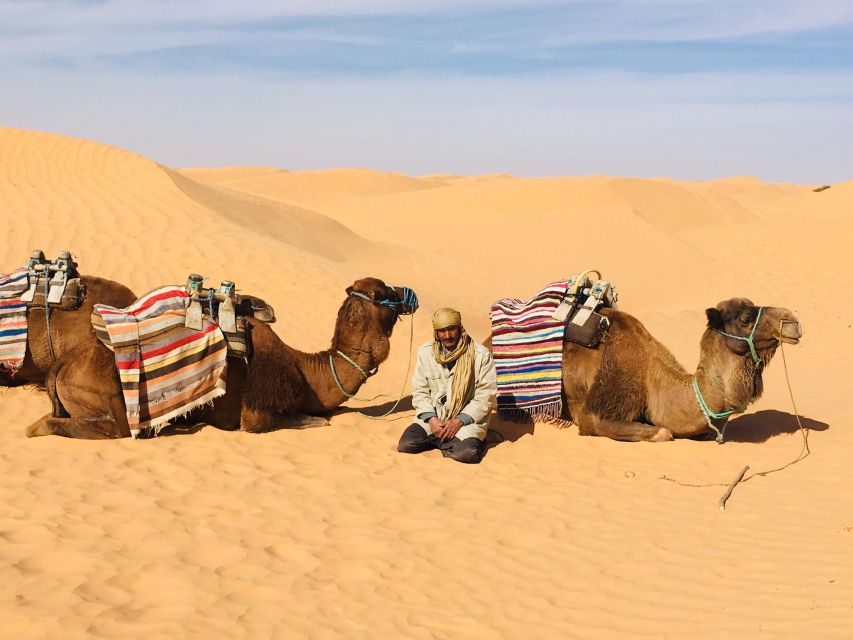 Djerba: 3 Days Trekking Cheninni Ksar Ghilane Sahara Desert - Key Points