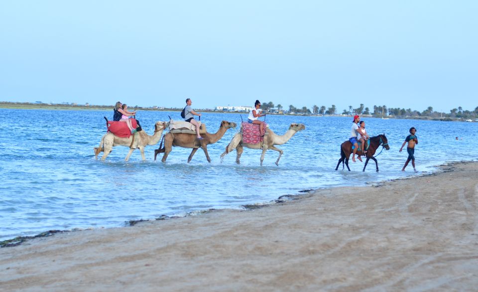 Djerba: Guided Horseback Riding Tour - Key Points