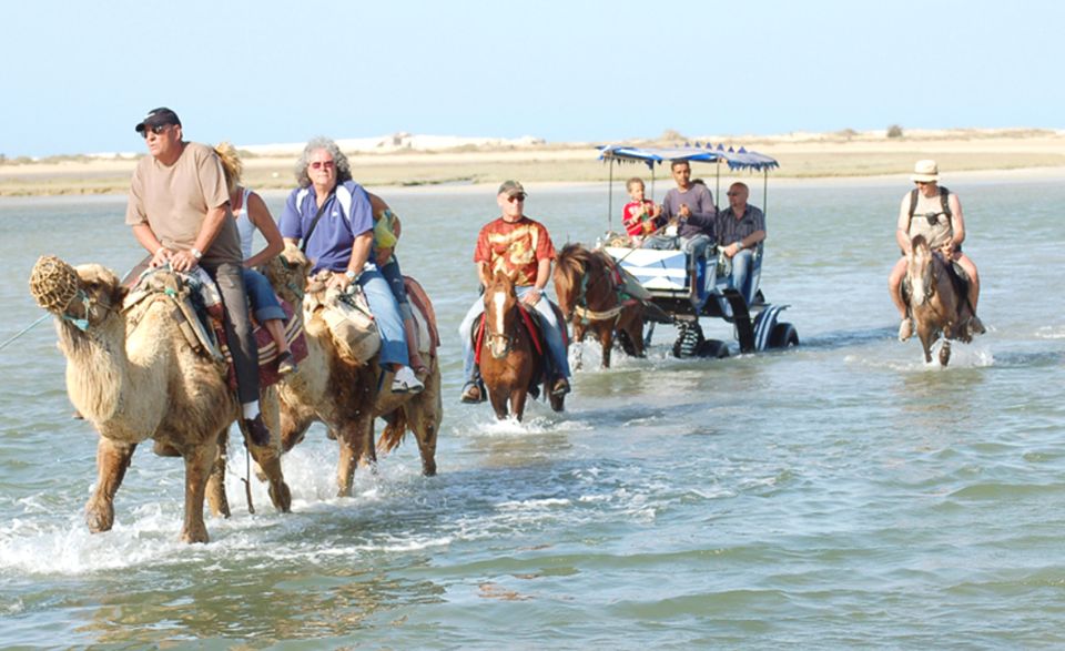 Djerba: Horse and Camel Combo Caravan Tour - Key Points