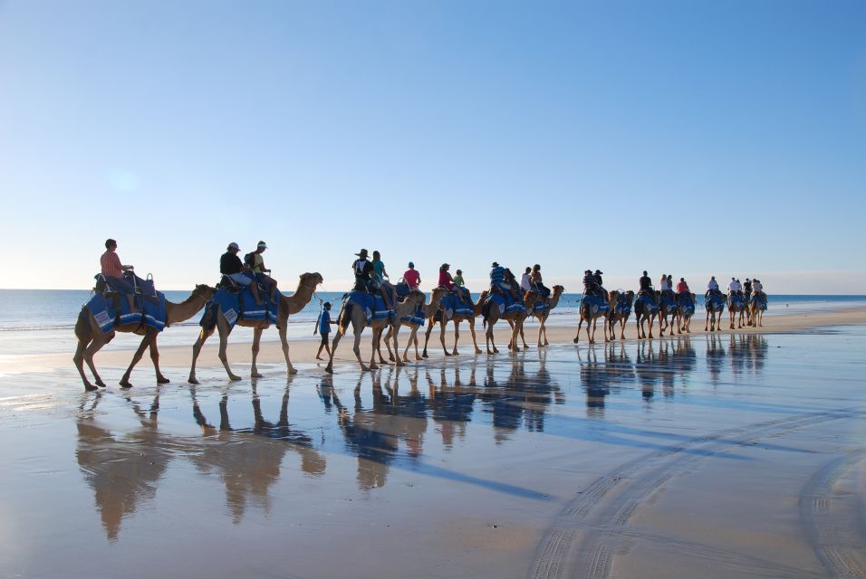 Djerba: Lagoon Camel Ride Experience - Key Points