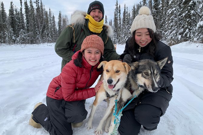 Dog Sledding and Mushing Experience in North Pole - Just The Basics