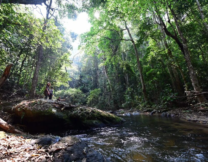 Doi Inthanon & Pha Dok Siew Waterfall Tour - Key Points