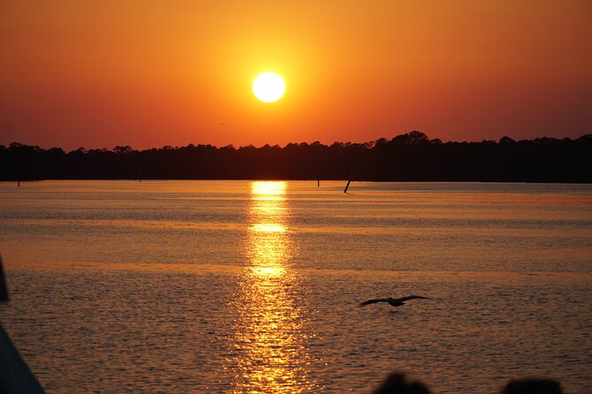 Dolphin and Nature Sunset Cruise From Orange Beach - Just The Basics